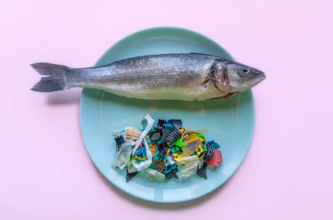 eat microplastics (Forbes)